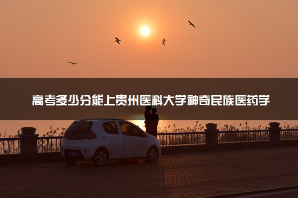 高考多少分能上贵州医科大学神奇民族医药学院 2023录取分数线是多少