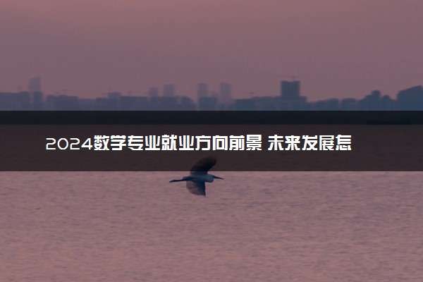 2024数学专业就业方向前景 未来发展怎么样