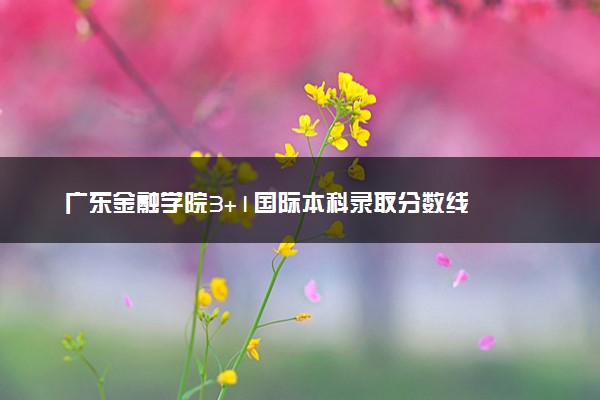 广东金融学院3+1国际本科录取分数线