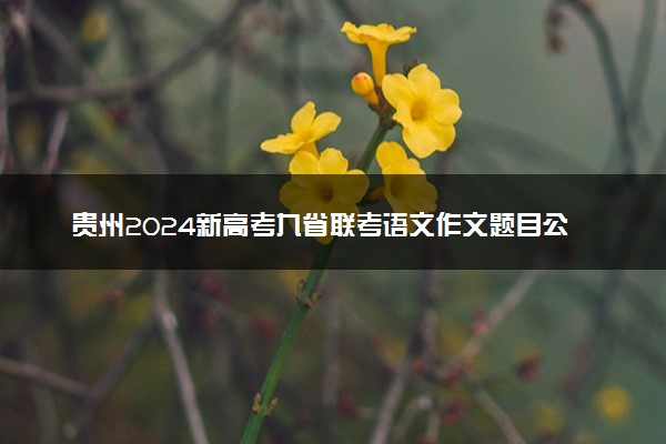 贵州2024新高考九省联考语文作文题目公布【最新】