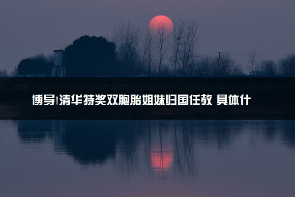 博导!清华特奖双胞胎姐妹归国任教 具体什么情况