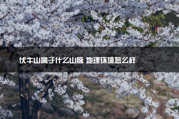 伏牛山属于什么山脉 地理环境怎么样