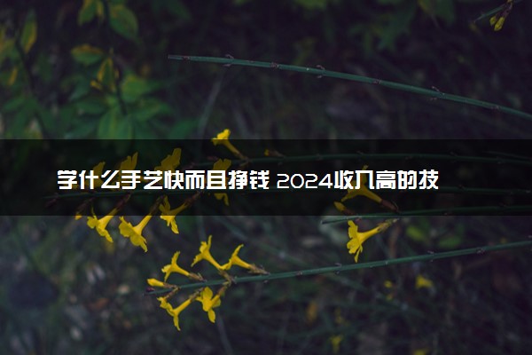 学什么手艺快而且挣钱 2024收入高的技术