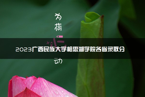 2023广西民族大学相思湖学院各省录取分数线是多少 投档最低分及位次