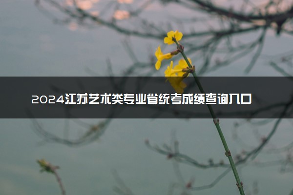 2024江苏艺术类专业省统考成绩查询入口 在哪查分