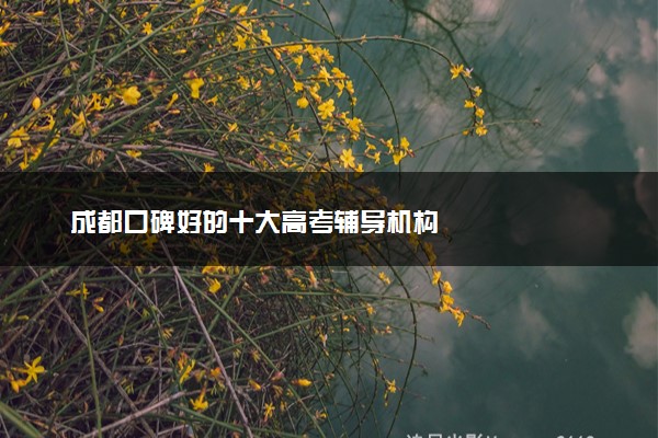 成都口碑好的十大高考辅导机构
