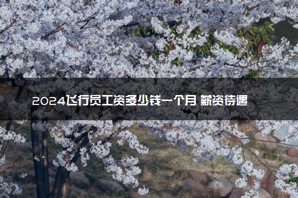 2024飞行员工资多少钱一个月 薪资待遇标准表