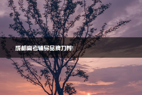 成都高考辅导品牌力荐！