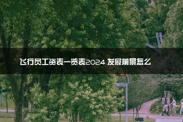 飞行员工资表一览表2024 发展前景怎么样