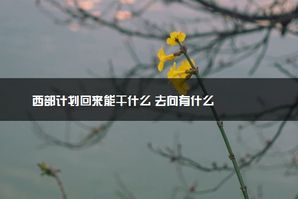 西部计划回来能干什么 去向有什么