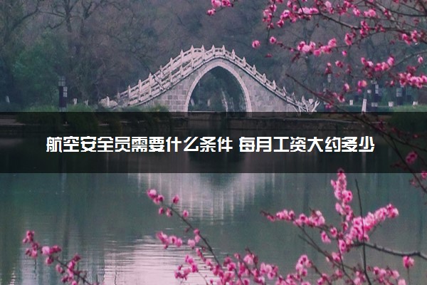 航空安全员需要什么条件 每月工资大约多少钱