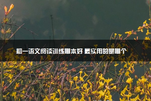 初一语文阅读训练哪本好 最实用的是哪个