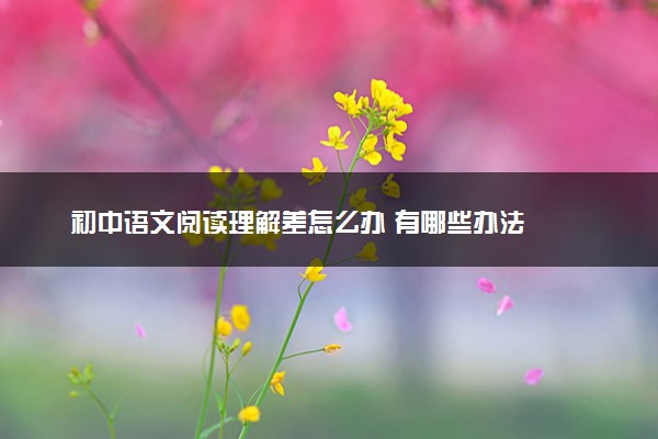 初中语文阅读理解差怎么办 有哪些办法
