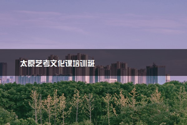 太原艺考文化课培训班