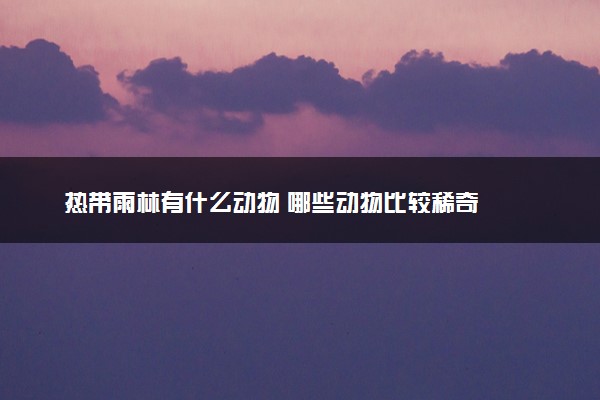 热带雨林有什么动物 哪些动物比较稀奇
