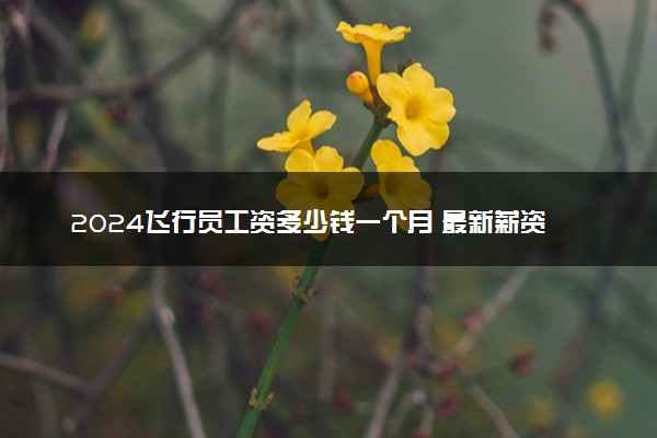 2024飞行员工资多少钱一个月 最新薪资水平