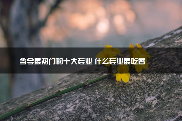 当今最热门的十大专业 什么专业最吃香
