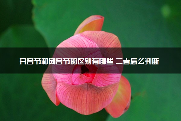 开音节和闭音节的区别有哪些 二者怎么判断