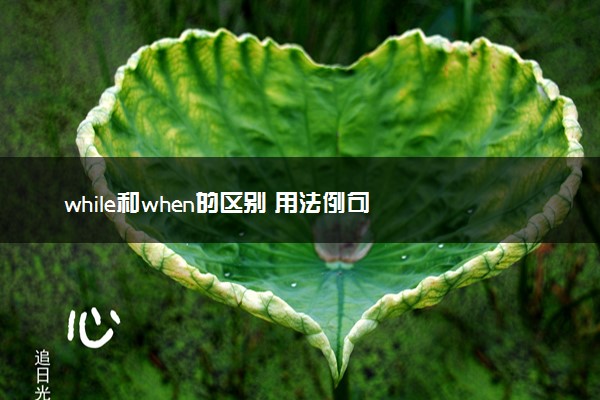 while和when的区别 用法例句