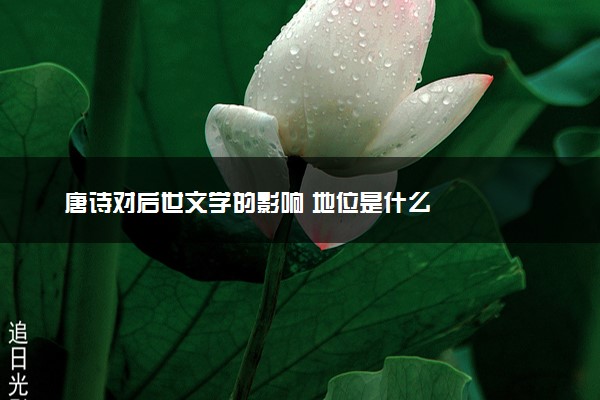 唐诗对后世文学的影响 地位是什么