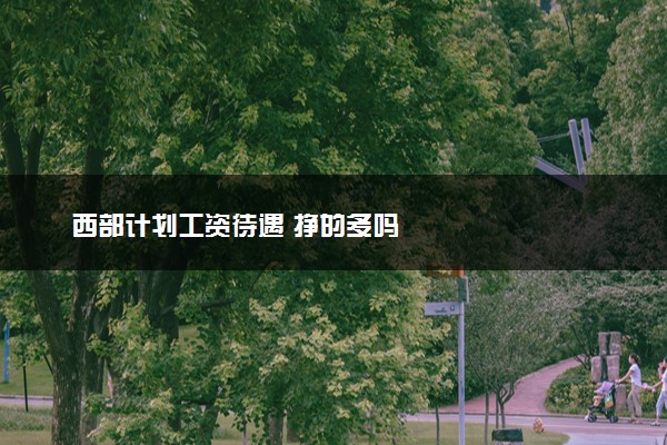 西部计划工资待遇 挣的多吗