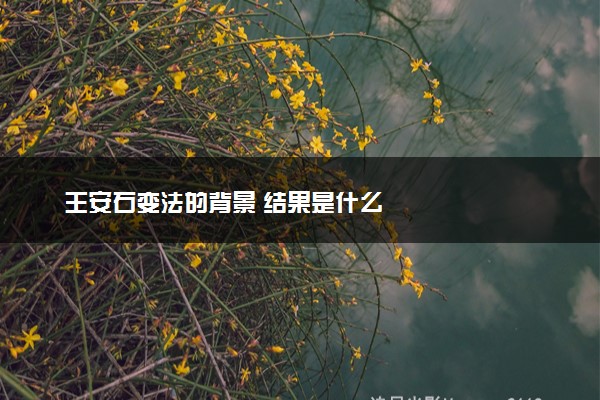 王安石变法的背景 结果是什么