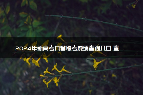 2024年新高考九省联考成绩查询入口 查分时间出炉