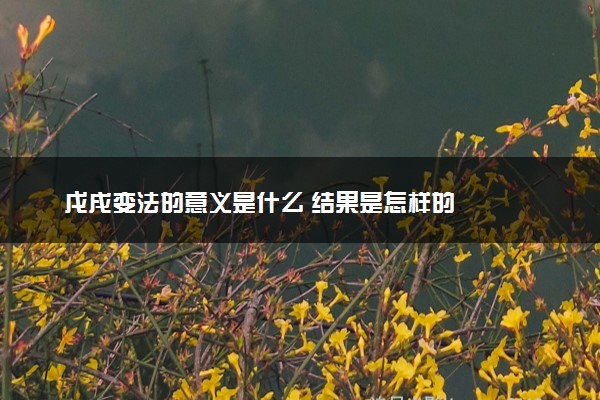 戊戌变法的意义是什么 结果是怎样的