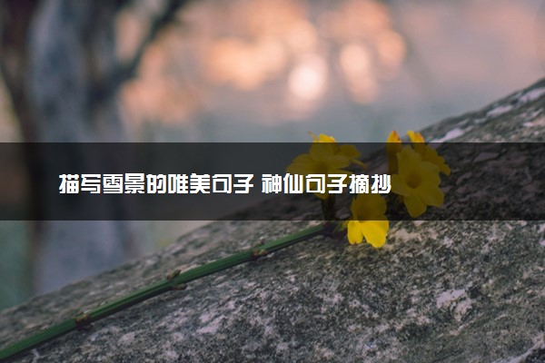 描写雪景的唯美句子 神仙句子摘抄
