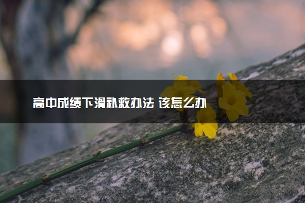 高中成绩下滑补救办法 该怎么办