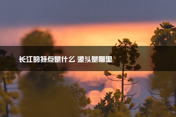 长江的特点是什么 源头是哪里