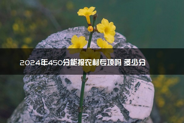 2024年450分能报农村专项吗 多少分能上