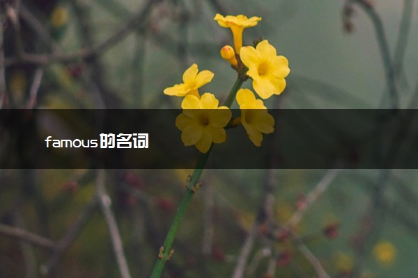famous的名词