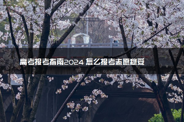 高考报考指南2024 怎么报考志愿稳妥