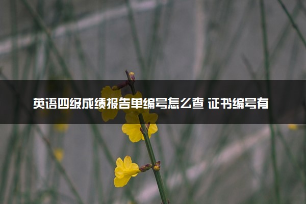 英语四级成绩报告单编号怎么查 证书编号有什么用