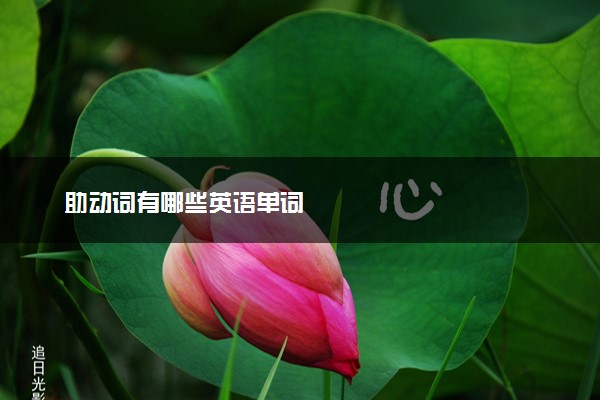 助动词有哪些英语单词