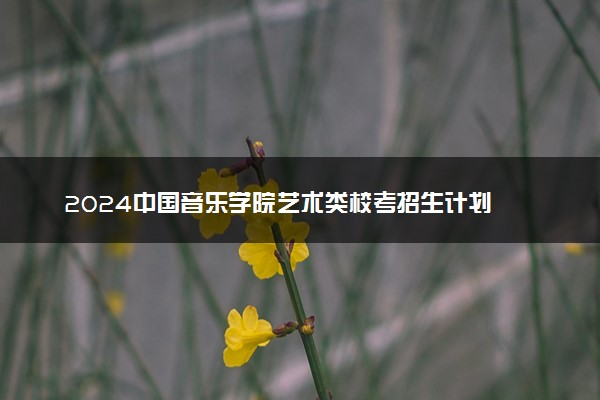 2024中国音乐学院艺术类校考招生计划 各专业招多少人