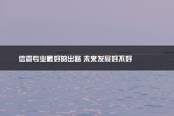 信管专业最好的出路 未来发展好不好