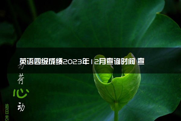 英语四级成绩2023年12月查询时间 查询方式及入口