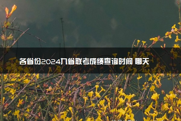 各省份2024九省联考成绩查询时间 哪天出分