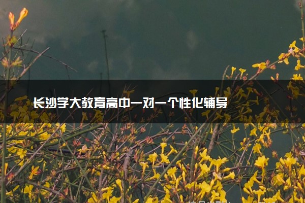 长沙学大教育高中一对一个性化辅导