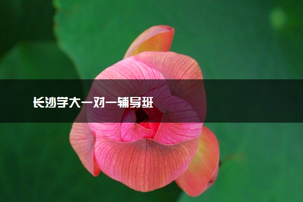 长沙学大一对一辅导班