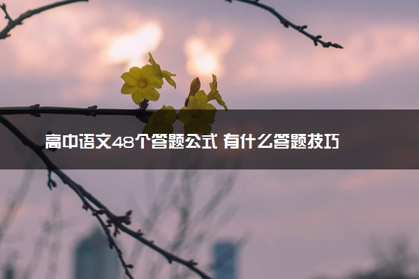 高中语文48个答题公式 有什么答题技巧