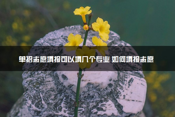 单招志愿填报可以填几个专业 如何填报志愿