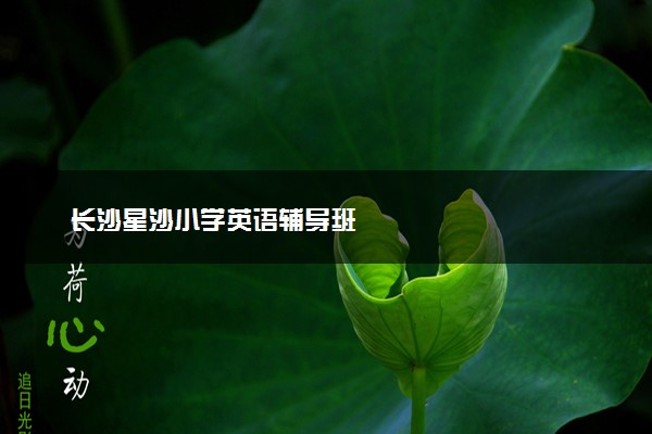 长沙星沙小学英语辅导班