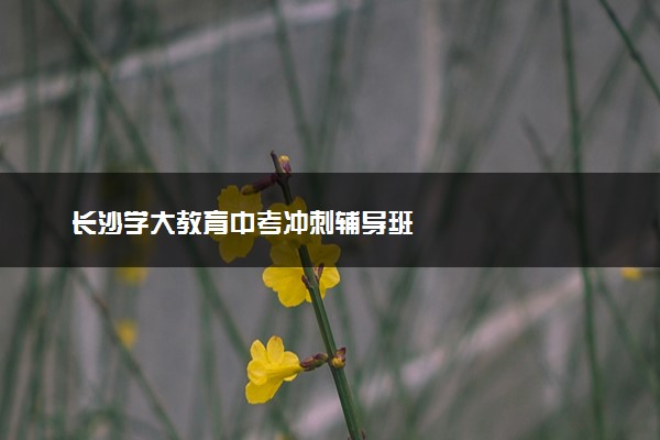 长沙学大教育中考冲刺辅导班