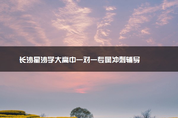 长沙星沙学大高中一对一专属冲刺辅导