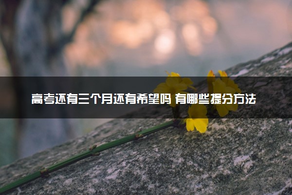 高考还有三个月还有希望吗 有哪些提分方法