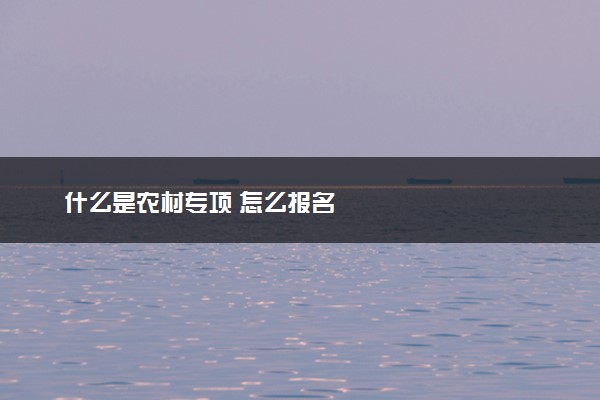什么是农村专项 怎么报名