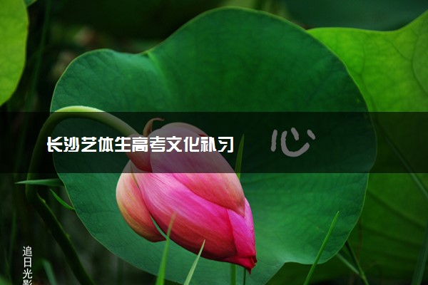 长沙艺体生高考文化补习